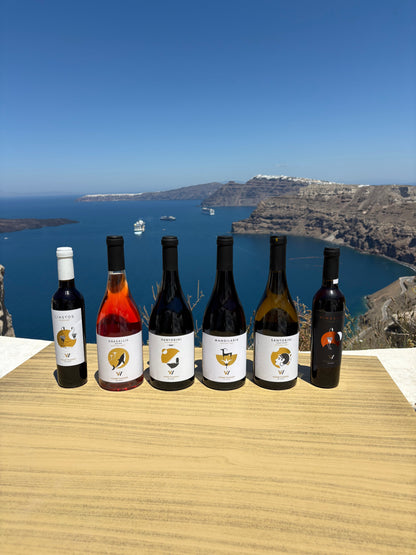 Venetsanos Oak Santorini Assyrtiko 2019 (750ml)